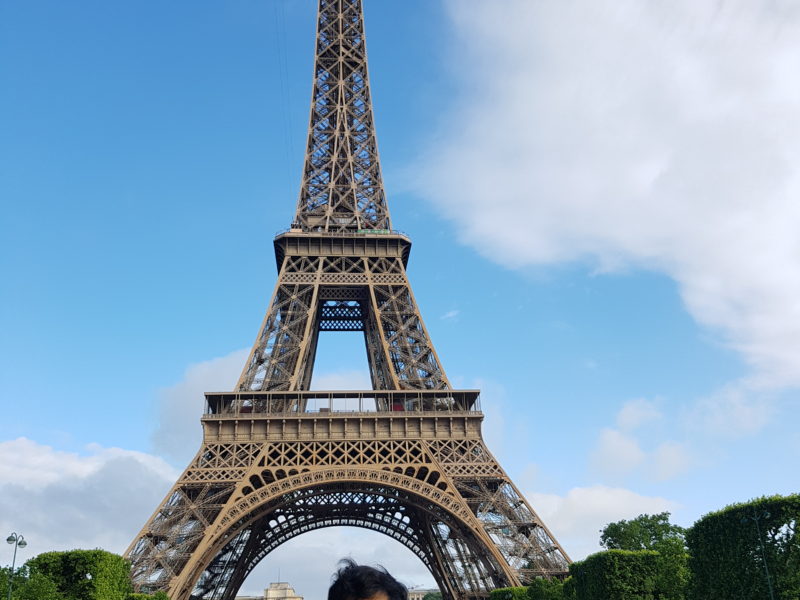 THE EIFFEL TOWER : FOREVER AN ICON